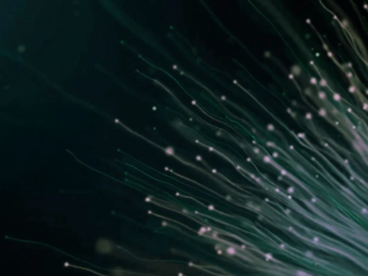 ffiber Presse, abstraktes Foto grün-violett leuchtender, fächerförmig auslaufender Glasfaserbündel auf dunklem Hintergrund, Sinnbild für schnelle Glasfaserkommunikation und Medien-Downloads.