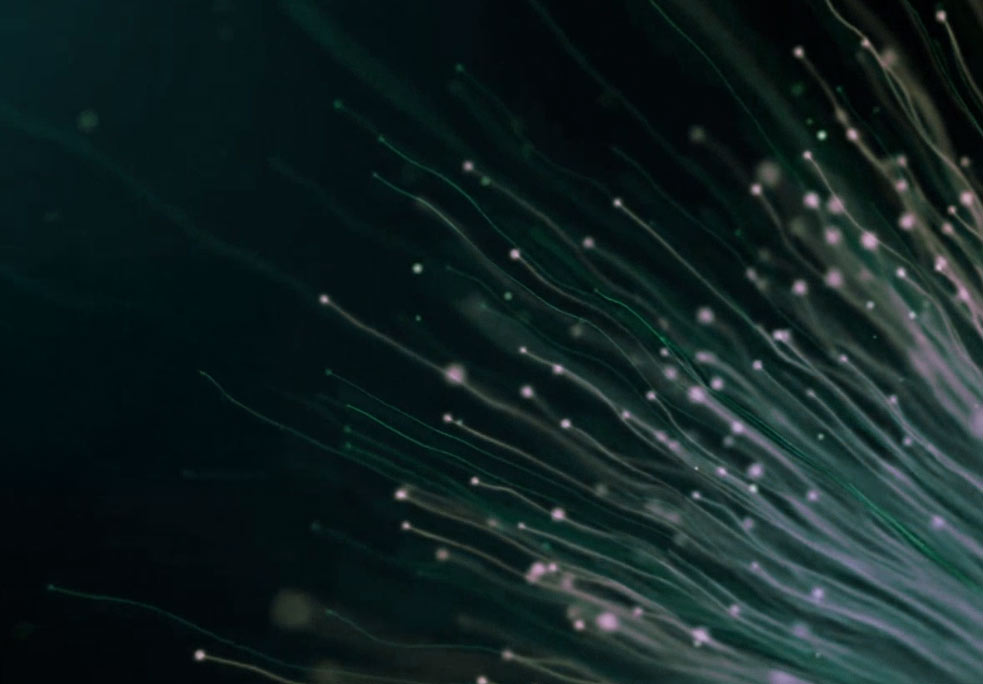 ffiber Presse, abstraktes Foto grün-violett leuchtender, fächerförmig auslaufender Glasfaserbündel auf dunklem Hintergrund, Sinnbild für schnelle Glasfaserkommunikation und Medien-Downloads.